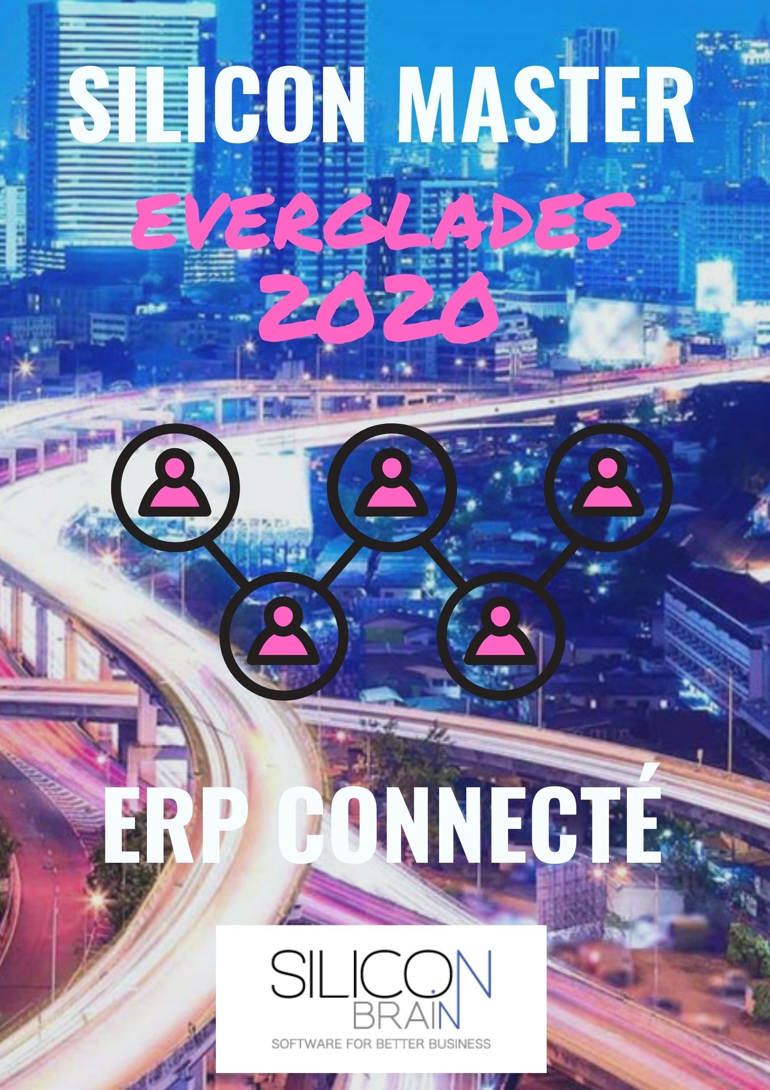 Affiche #3 ERP connecté FR