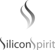 Silicon Spirit