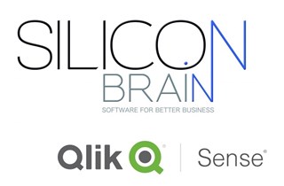 Silicon Brain
